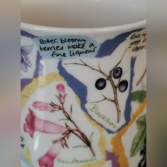 Dunoon Fine Bone China "Nature's Garden" Floral Mug - Picture 7 of 10